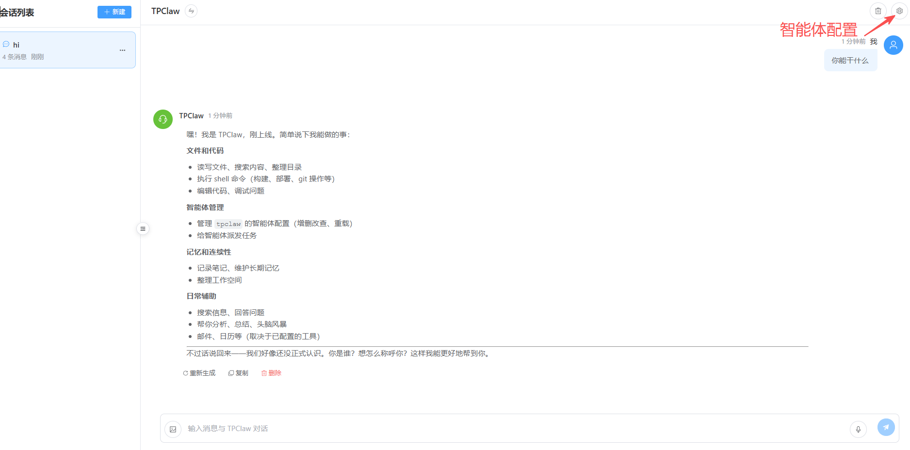 智能体配置